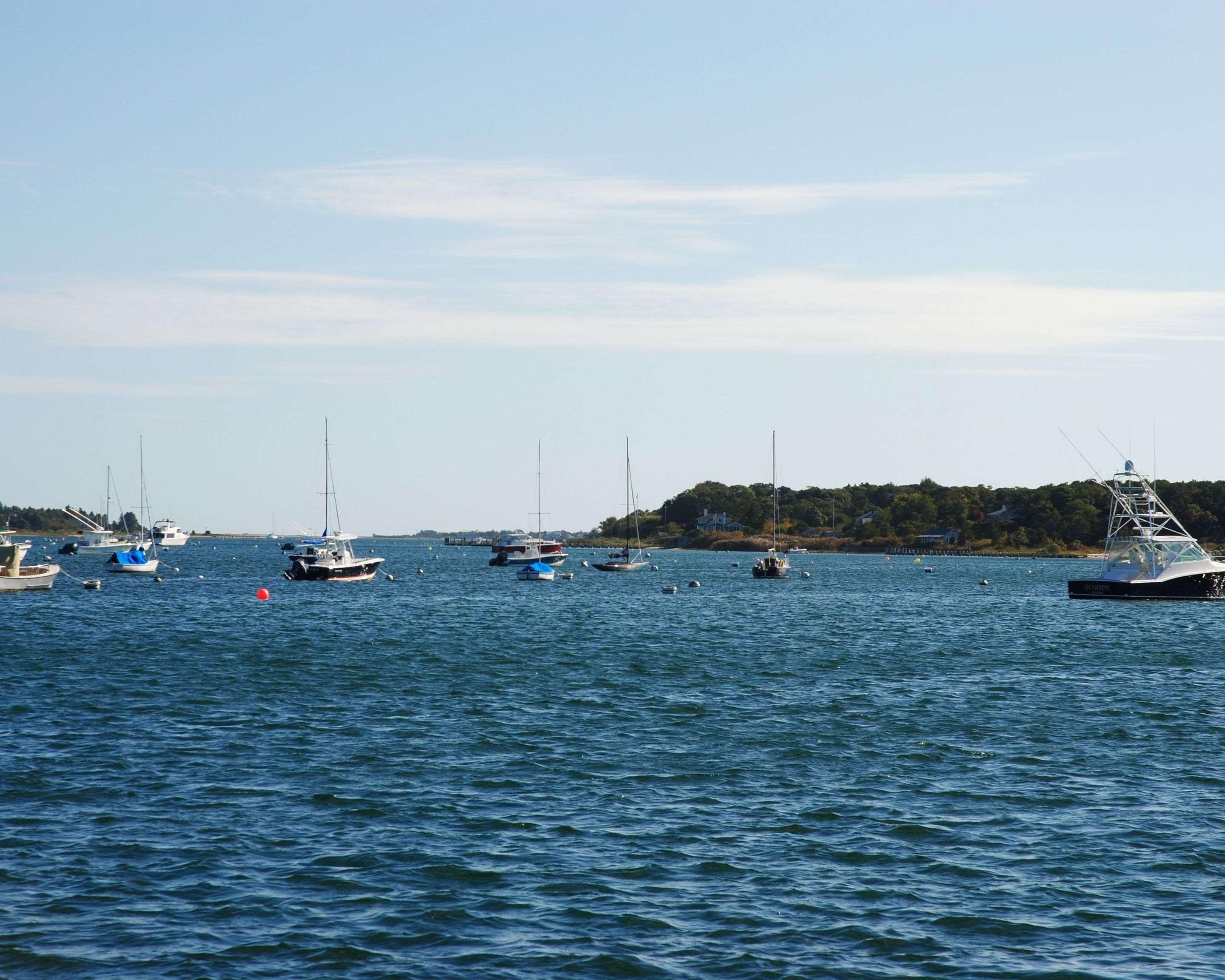 Edgar Hotel Martha'S Vineyard, Ascend Hotel Collection Edgartown Exteriör bild